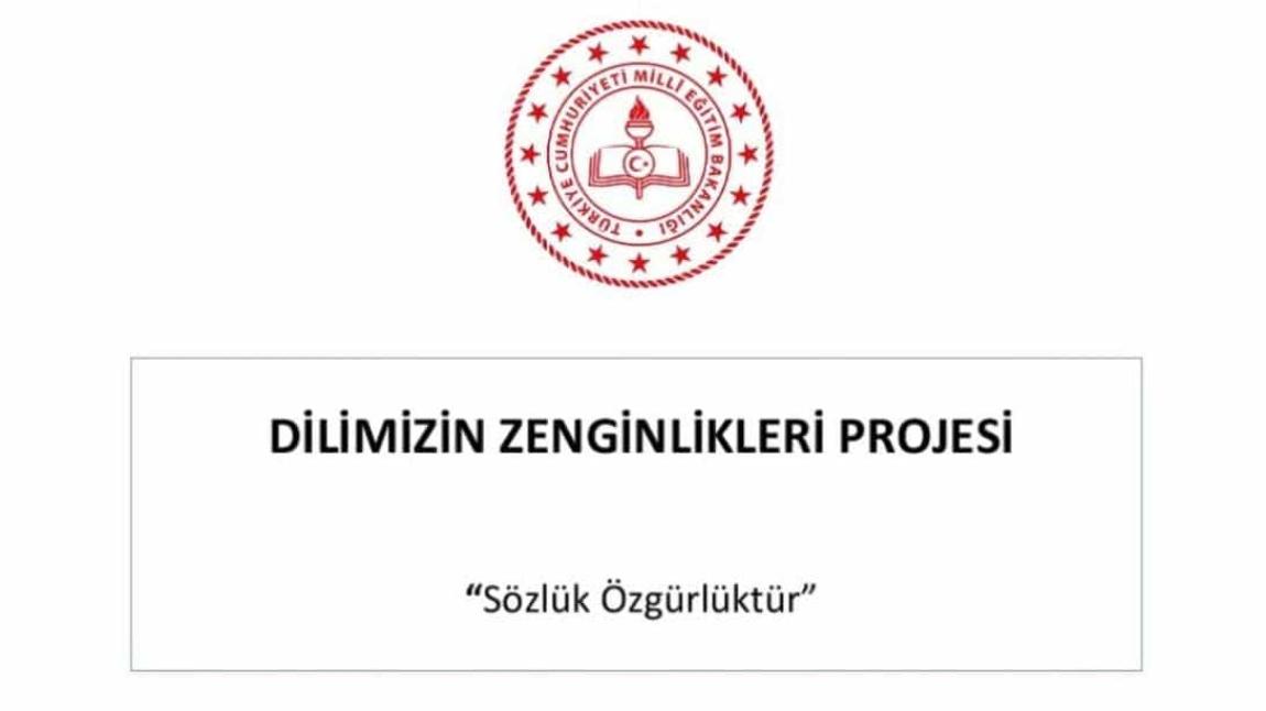 Dilimizin Zenginlikleri Projesi